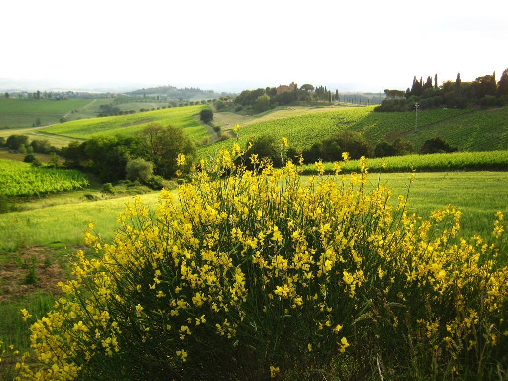 I Palazzi B&B Valiano Room photo